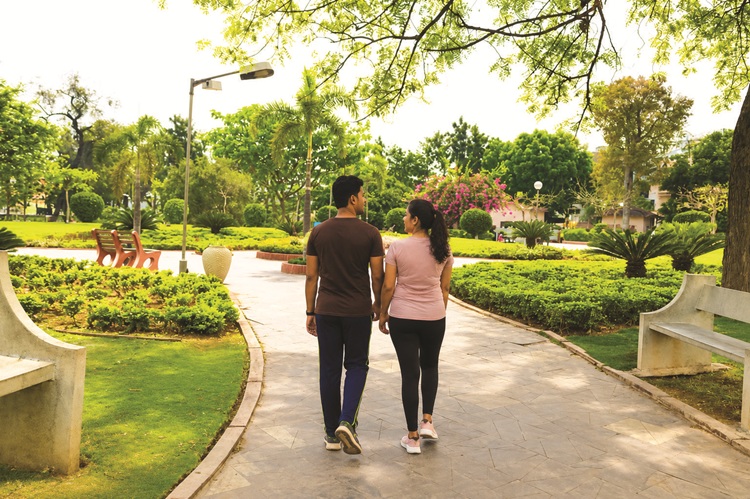 Walking Track